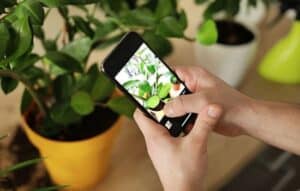 Descubre el Mundo Verde a Tu Alrededor